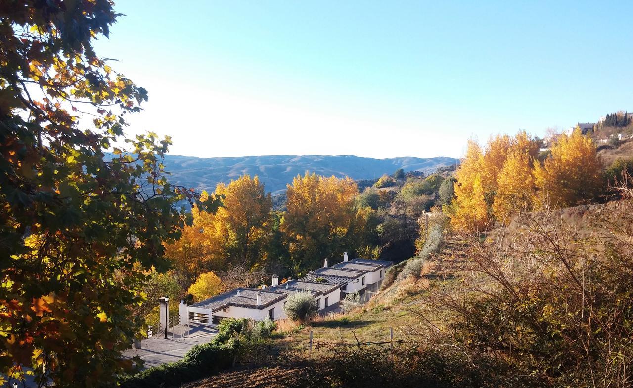 Turismo Rural & Spa El Cercado Bérchules Exteriör bild